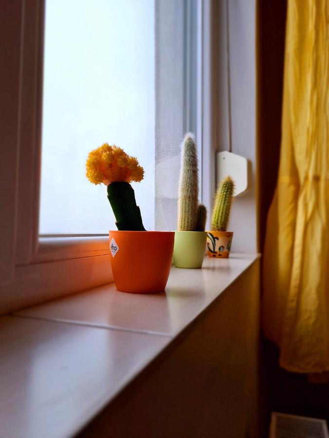 Cozy Apartment Arad Exterior foto